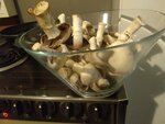 IMG20200601190903.jpg
