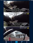 2E38061F-75B6-4A3A-9AE9-9AFD1CF56F0D.png