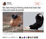 tumblr_p37ahsVRdS1qgwi7to1_640.png