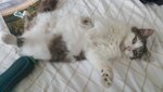 20200724_135514.jpg