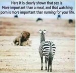 tumblr_pgcl5yzJir1xoyw8po1_500.jpg
