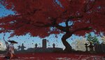 Ghost of Tsushima_20200828113348.jpg
