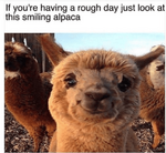 1599300592683.png