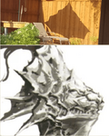 1600714132794.png