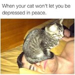 tumblr_p8f34lOFPm1v9qgbgo1_640.jpg