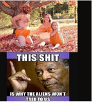 1601815730781.png