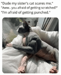 1602619062179.png