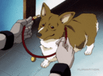 happy boi.gif