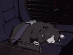 sleepy cat.gif