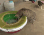 mistakes-were-made.gif