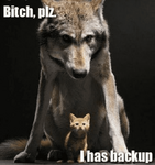 1606253796884.png