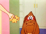 209.gif