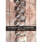 tumblr_p5xkznGk7Q1t0hr3yo1_1280.jpg
