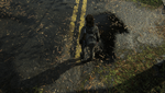 The Last of Us™ Part II_20201210035203.png