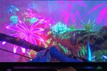 ezgif.com-gif-maker-6.jpg