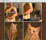1708605866112.png 1708605866112.png