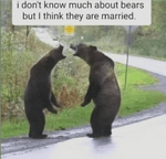 1711137091409.png