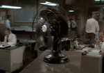 shit-gonna.gif