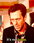 tumblr_m028fx6IDH1qfo3ndo1_250.gif