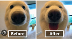 1723291120134.png