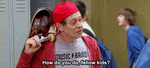 1723339289004.gif