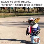 IMG_5456.jpeg