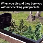 1724633060292.png