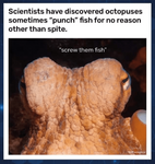1724958956467.png