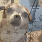 1730855928516.png
