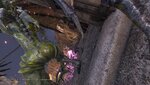 NINJA GAIDEN 2 Black_20250314223446.jpg