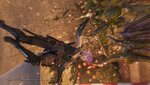 NINJA GAIDEN 2 Black_20250314223648.jpg