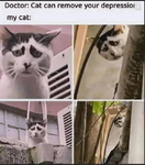1745447041846.png