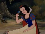 snowwhite-bluebird.jpg