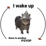 1746852158080.gif