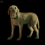 1747022054118.png