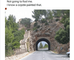 1747699042264.png