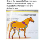 1749671692446.png