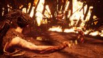 Hellblade_ Senua's Sacrifice™_20251229224403.jpg