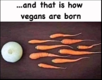 1768062634911.png