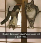 1770757765328.png