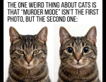 1258281.3999999762_image.png