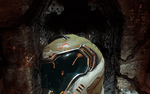 DOOMx64 2018-02-18 01-38-09-59.png