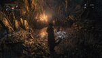 Bloodborne™_20170220201929.jpg