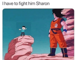 1611092855628.png