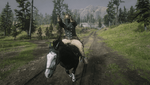 Red Dead Redemption 2_20210105013516.png