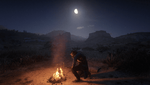 Red Dead Redemption 2_20210106030230.png