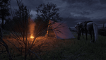 Red Dead Redemption 2_20210116061354_1.png
