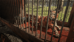 Red Dead Redemption 2_20210119032809.png