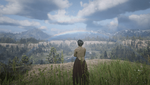 Red Dead Redemption 2_20201203013818.png