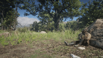 Red Dead Redemption 2_20201208015447.png